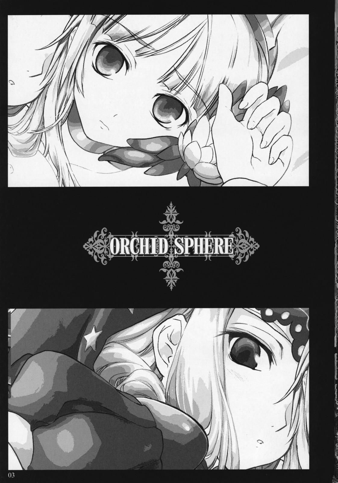 Teenager Orchid Sphere - Odin sphere Hymen - Page 2