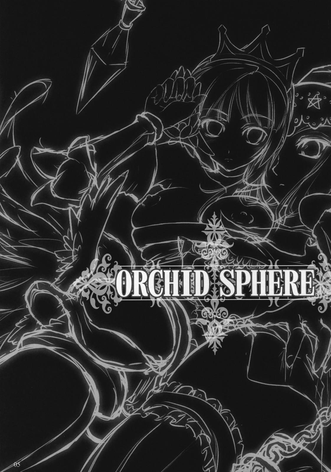 Teenager Orchid Sphere - Odin sphere Hymen - Page 4