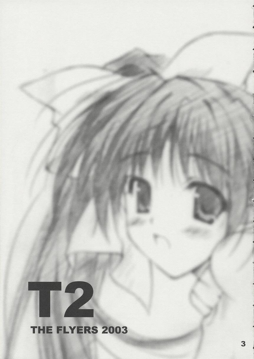 T2 1