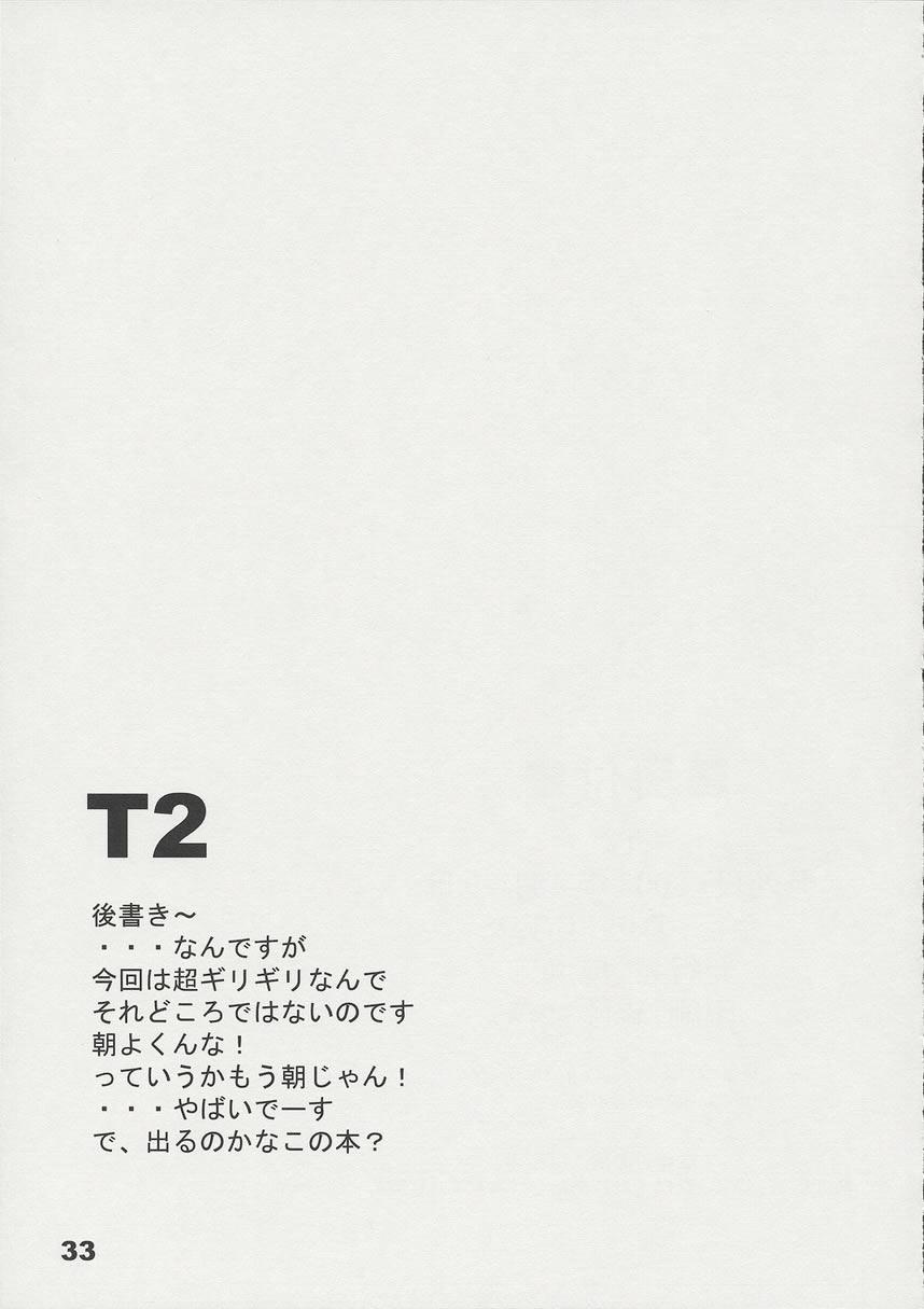 T2 31