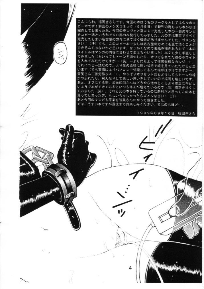 Storyline Sou - Cardcaptor sakura Underwear - Page 3