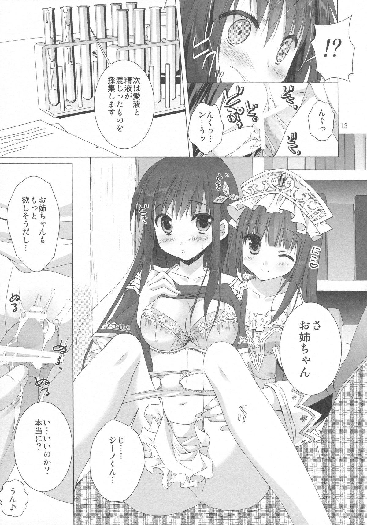 Audition 2-Shuume no True End - Atelier totori Sweet - Page 11