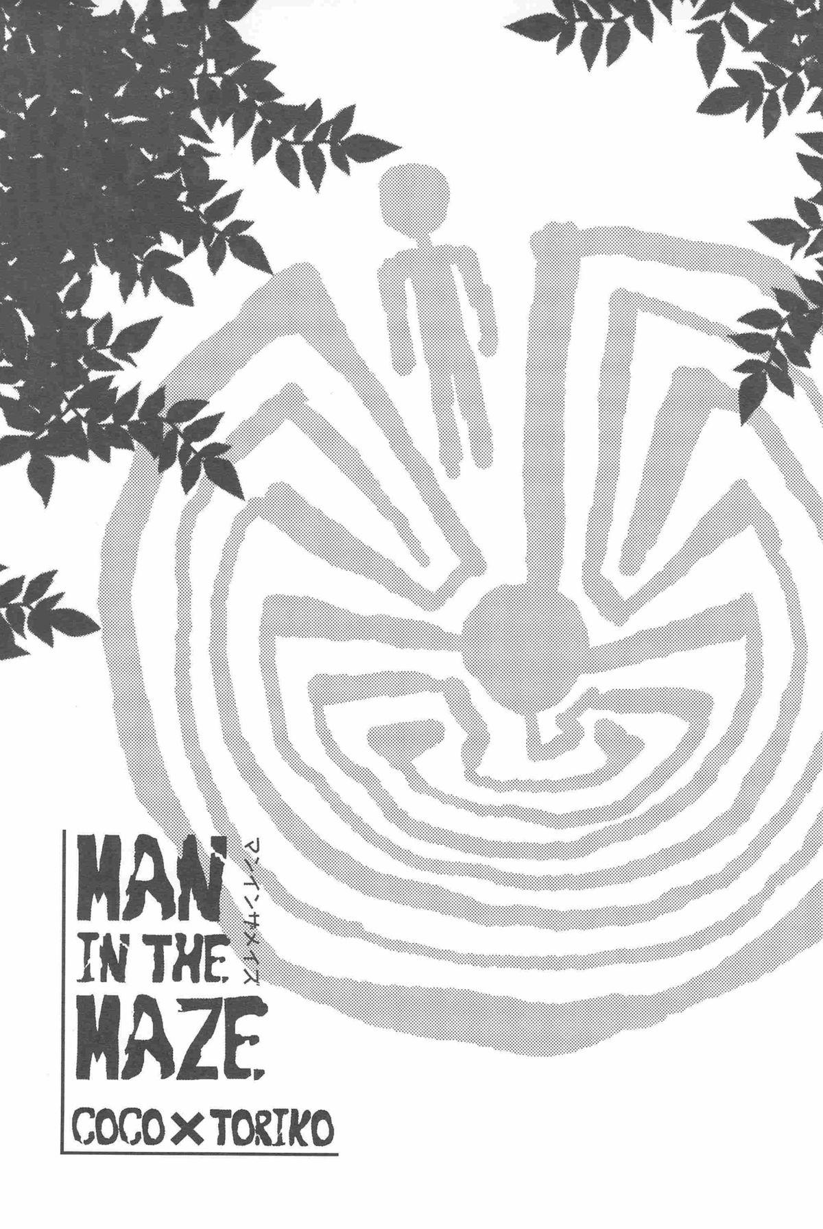 MAN IN THE MAZE 2