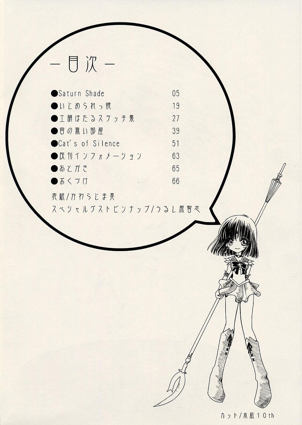 Hoe Dosei Ame - Sailor moon Internal - Page 5