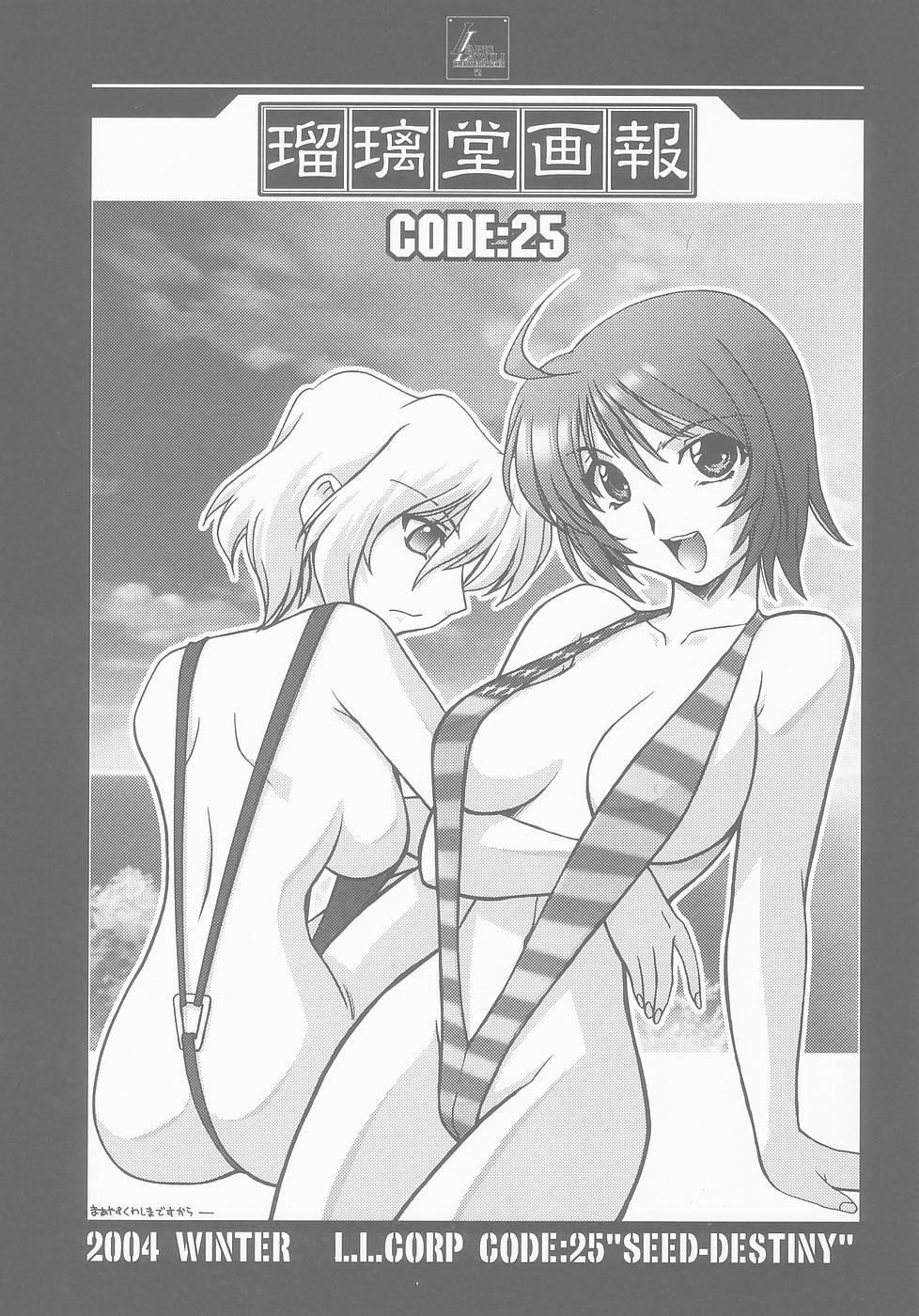 Free Fuck Clips Ruridou Gahou CODE:25 - Gundam seed destiny Gay Straight - Page 3
