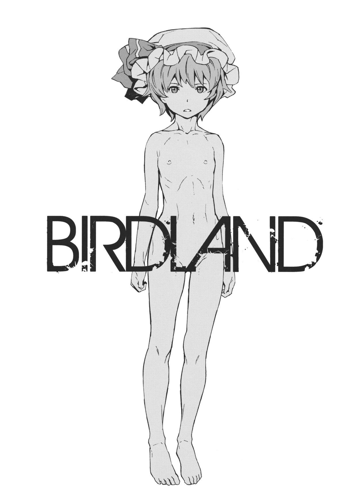 BIRDLAND 2